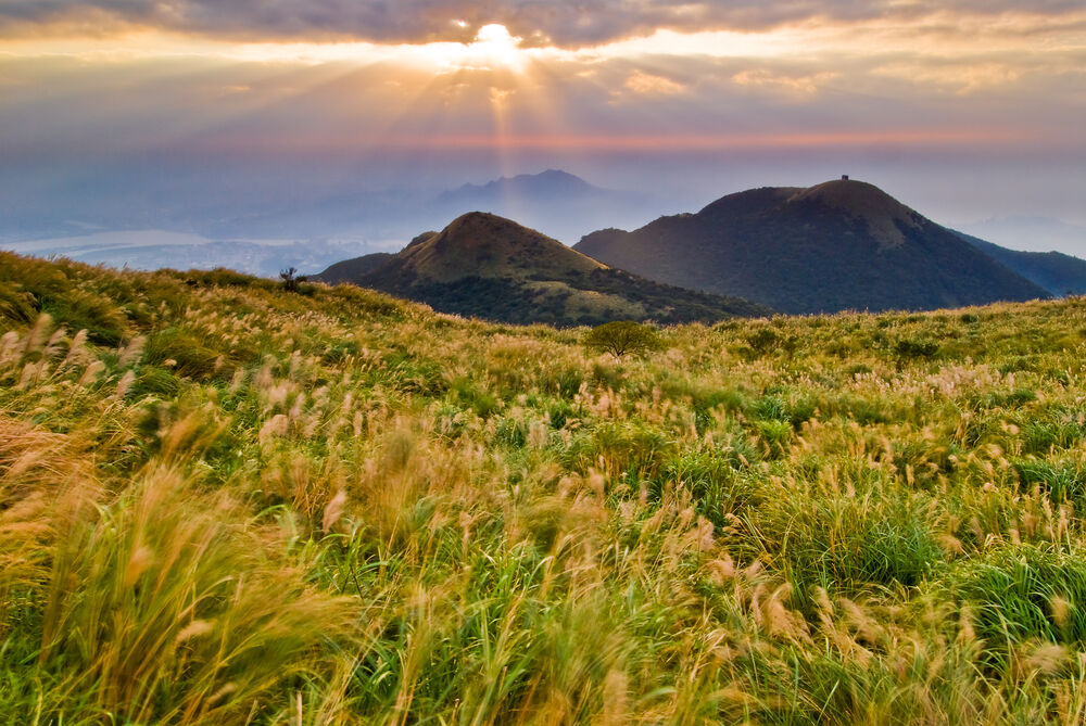 [독점할인] 대만 양명산 & 베이터우 일일 투어 (타이베이 출발, 조인/단독 투어 선택)