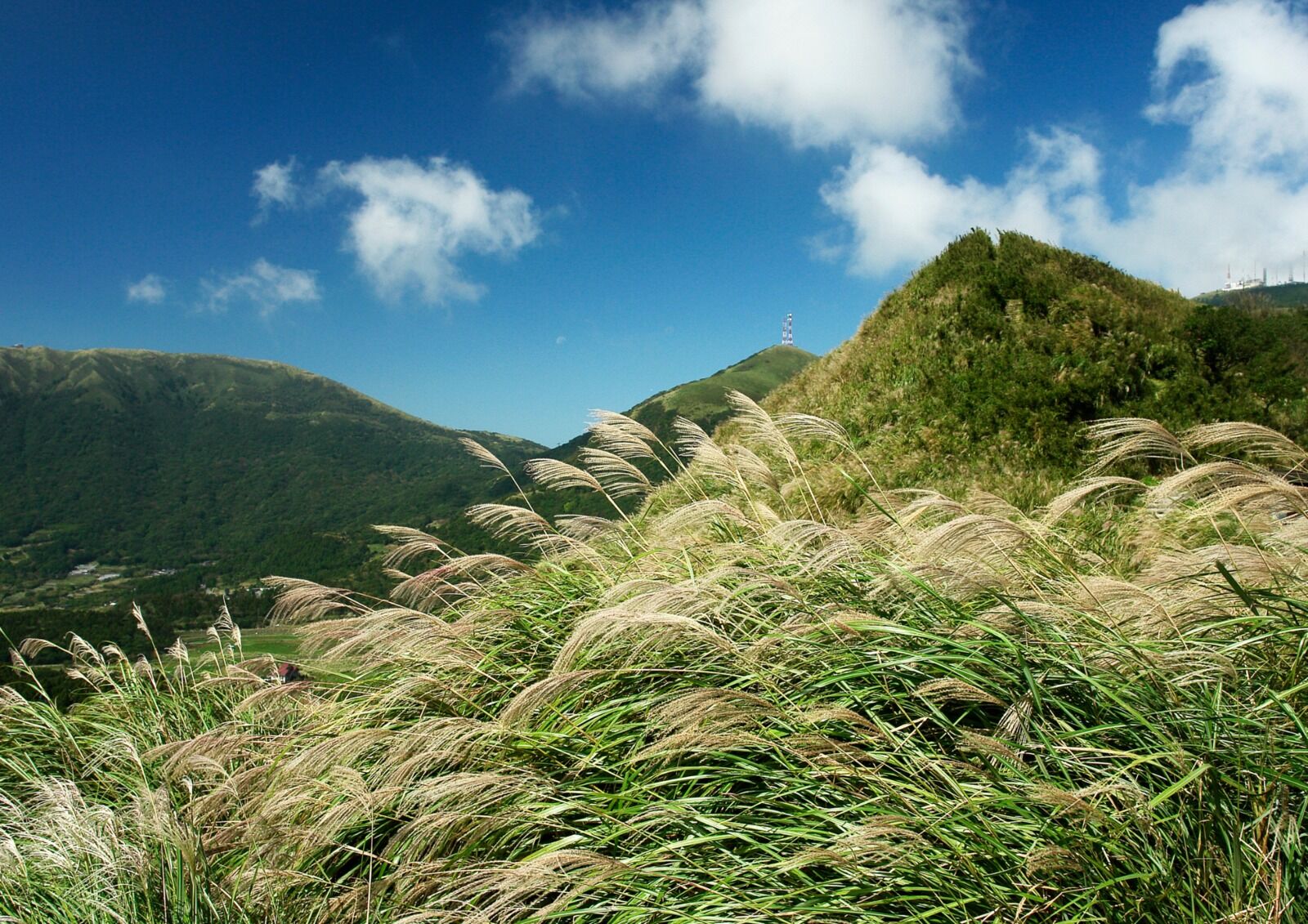 [독점할인] 대만 양명산 & 베이터우 일일 투어 (타이베이 출발, 조인/단독 투어 선택)