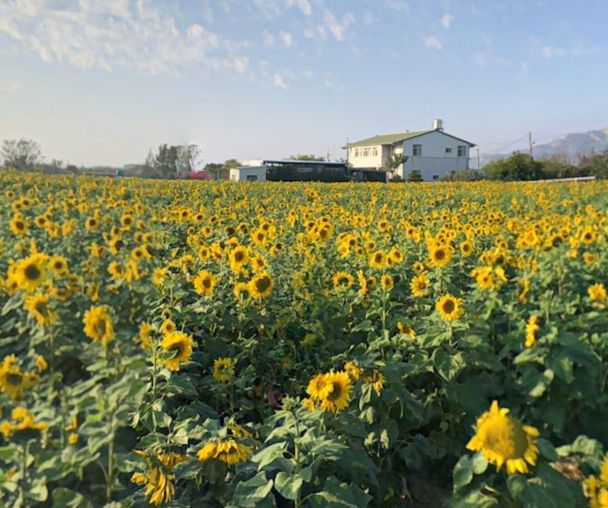 activity_detail_image