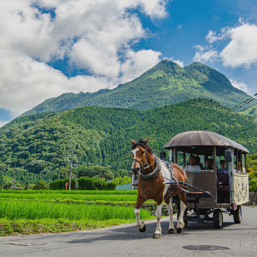 [와쿠와쿠] 후쿠오카 큐슈 4호선 히타 유후인 소도시 일일 투어