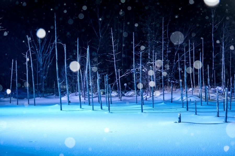 삿포로 출발: 비에이 인기 포토스팟 5곳 1일 투어