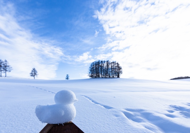 삿포로 출발: 비에이 인기 포토스팟 5곳 1일 투어