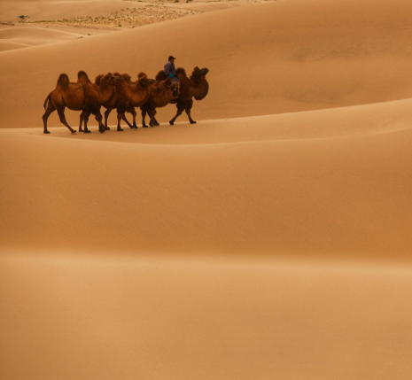 activity_detail_image