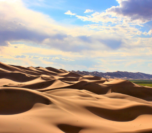 [노니투어] 몽골 미니 고비 사막 투어 : 모래언덕, 낙타 타기, 호수 관광을 한 번에!
