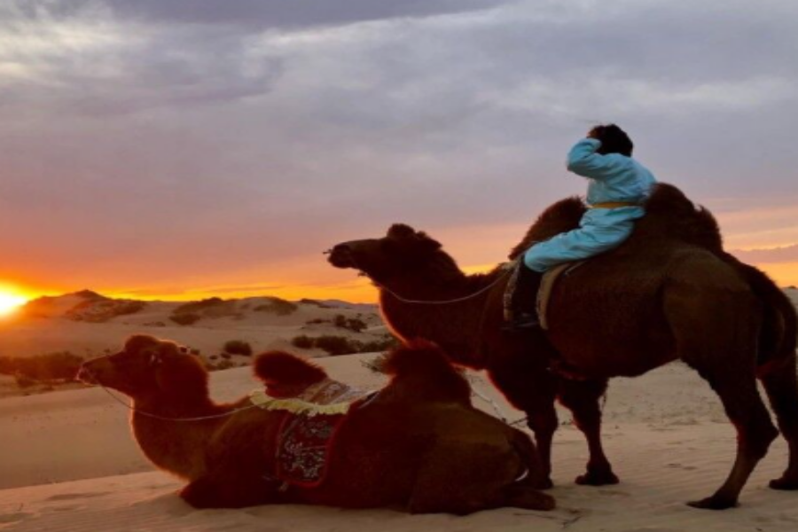 Experience Mongolia's Mini Gobi Desert: Sand Dunes, Camel Riding, and Lake Views!