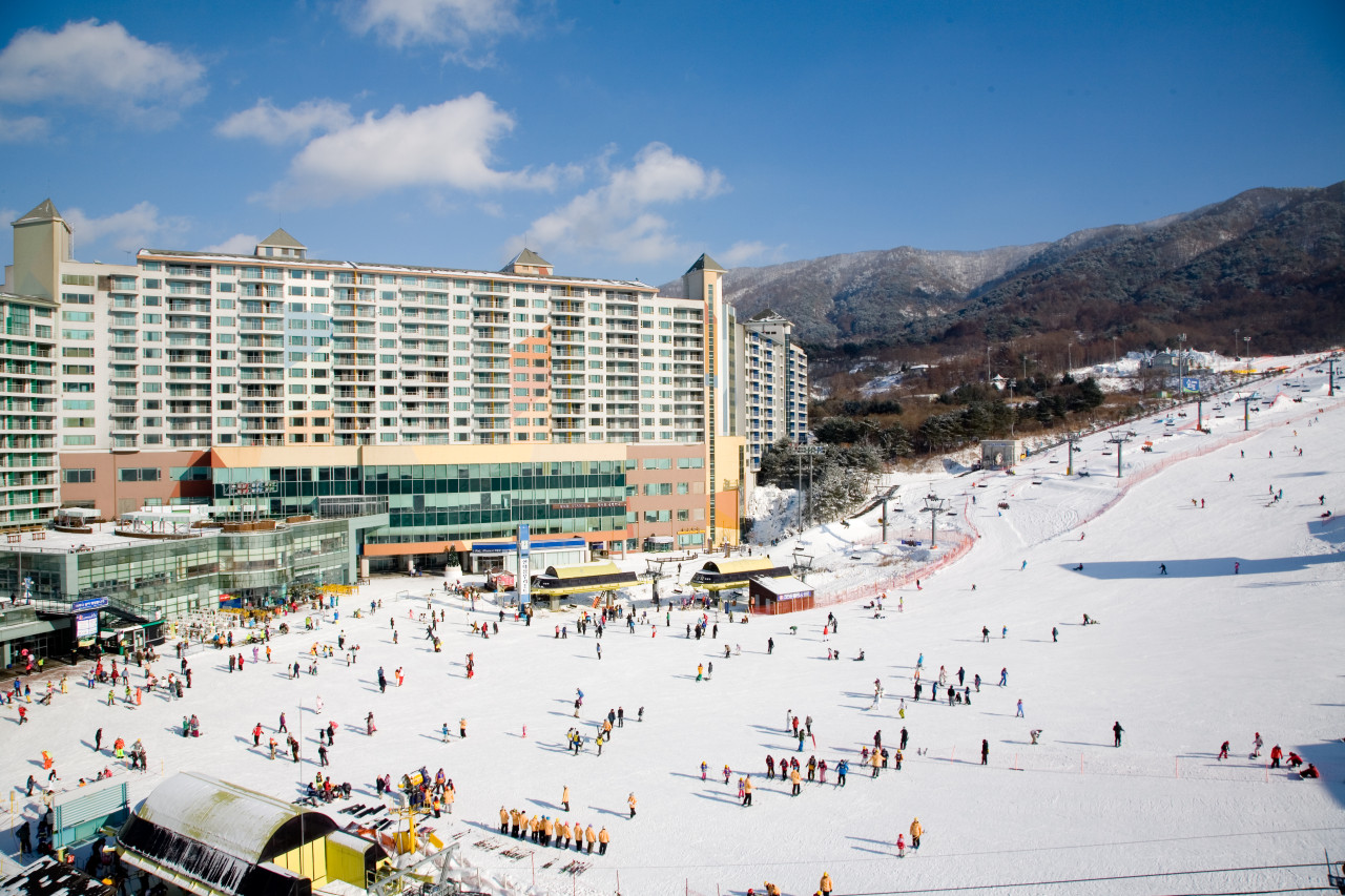 강원 웰리힐리파크 25/26 스프링 시즌권
