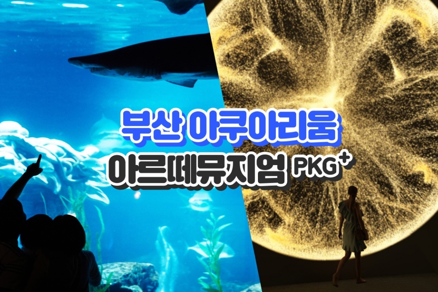 부산 아르떼뮤지엄 + 씨라이프부산아쿠아리움 패키지