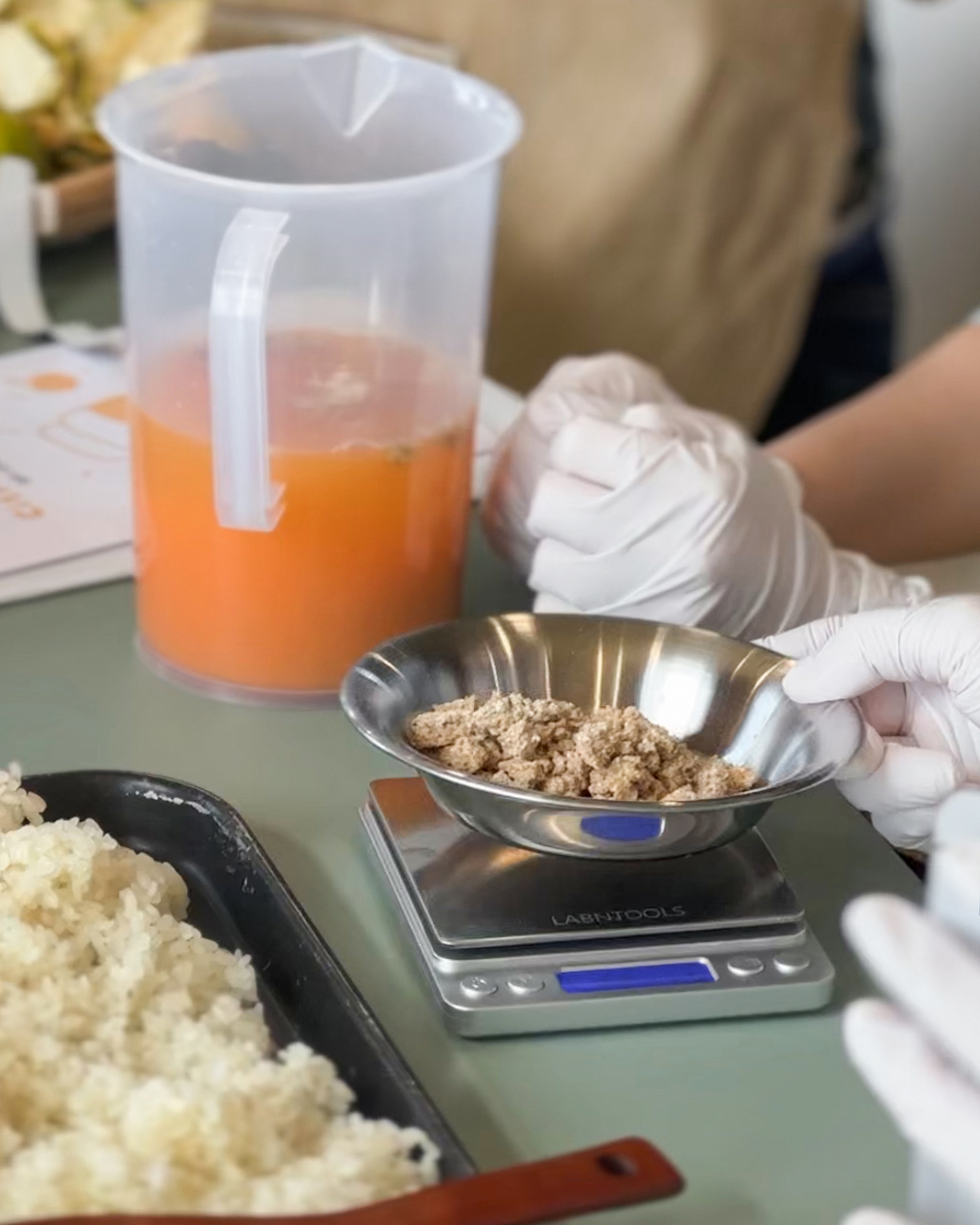 済州みかんマッコリ造りワンデークラス