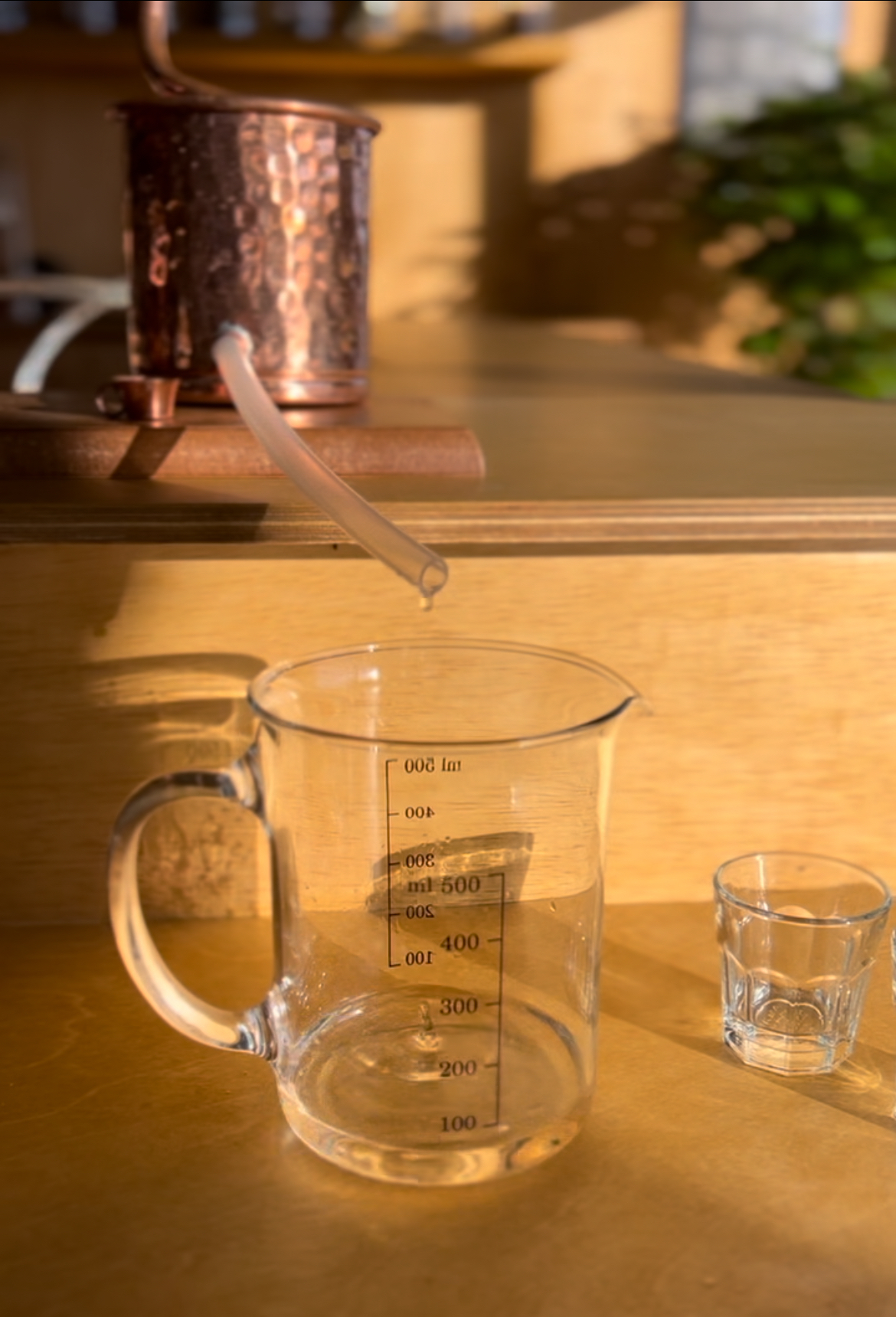 済州コツバット ジン蒸留酒ワンデークラス