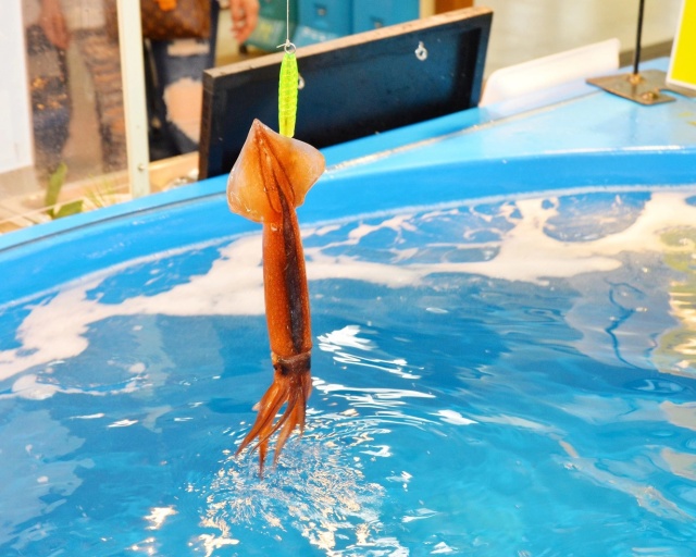 홋카이도 하코다테 시장 카네다이 아라키 상점