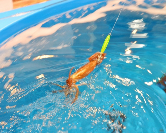 홋카이도 하코다테 시장 카네다이 아라키 상점