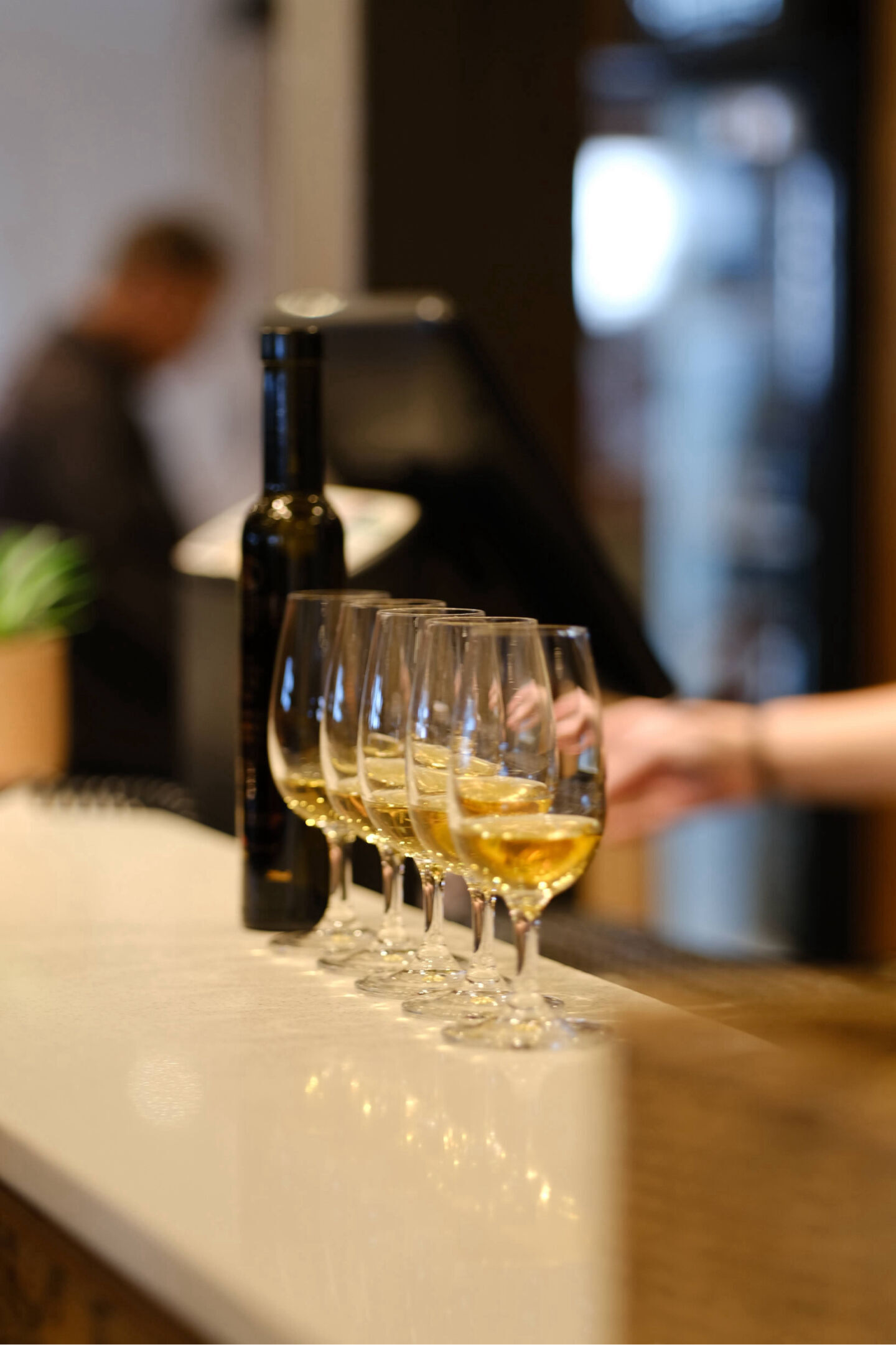 [TEAMON] 토론토 출발: 나이아가라 폭포 일일 프라이빗 투어 - 특별한 하루의 시작