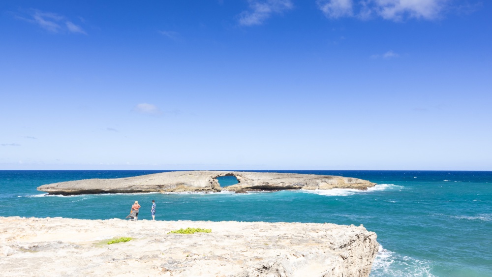 [독점할인] 하와이 오아후 북부 완전 정복! 한가족 단독 일일 투어