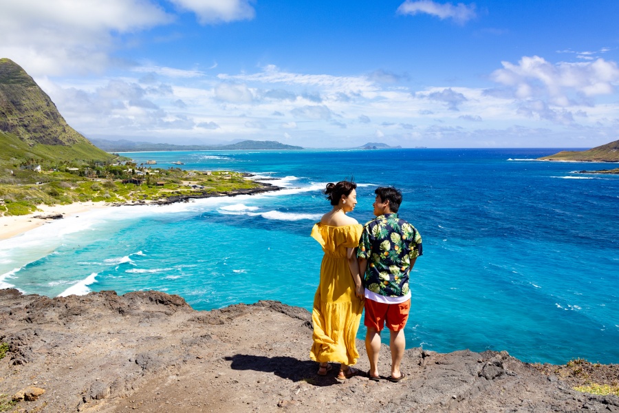 [독점할인] 오아후 핵심 코스 내맘대로 섬 투어! 한가족 단독 일일 투어
