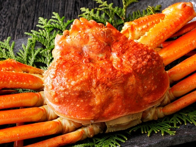 오사카 키타신치 카니마쓰-6