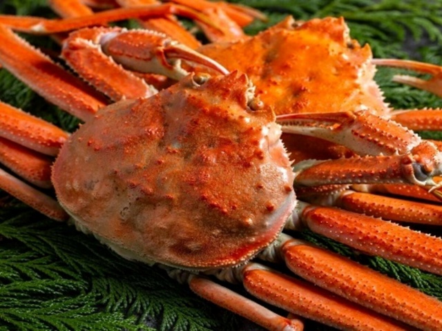 오사카 키타신치 카니마쓰-4