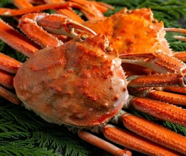 activity_detail_image