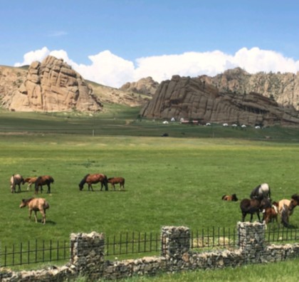 [노니투어] [3박4일] 웰컴투몽골! 테를지 + 미니고비 + 쳉헤르온천 단독 투어