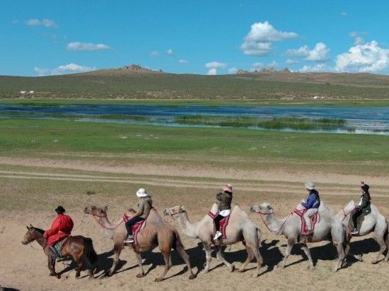 activity_detail_image