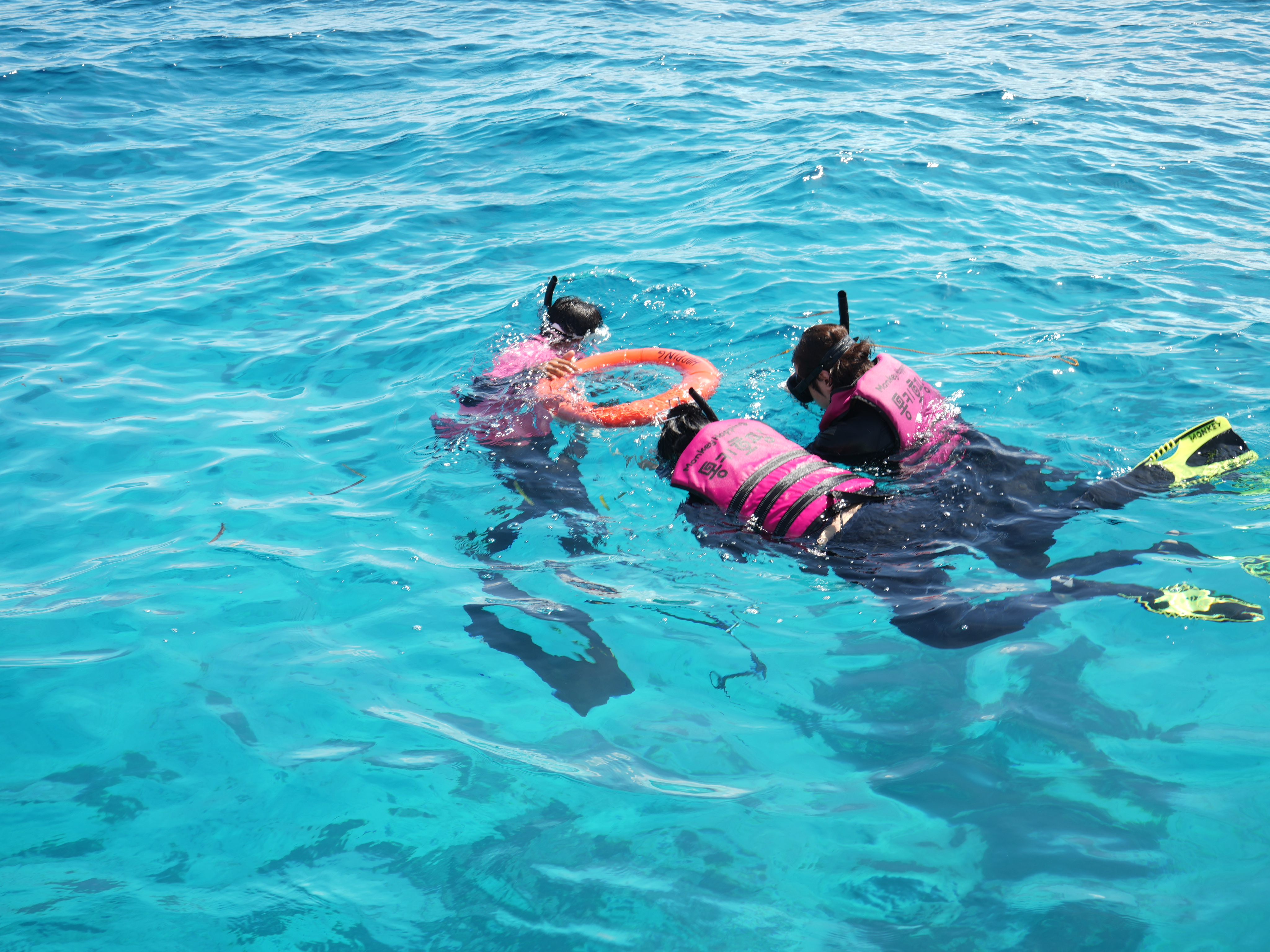 [오픈특가] [몽키호핑] 보홀 발리카삭 메가 호핑 (수중 촬영, 보일링 씨푸드, 메가 스프레쉬 파티)