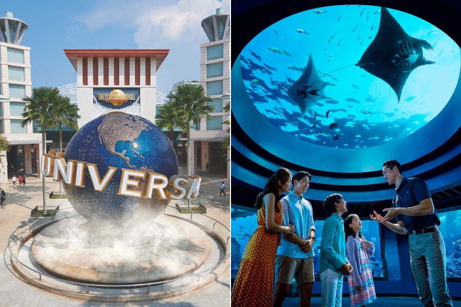 Universal Studios Singapore + Singapore Oceanarium Ticket