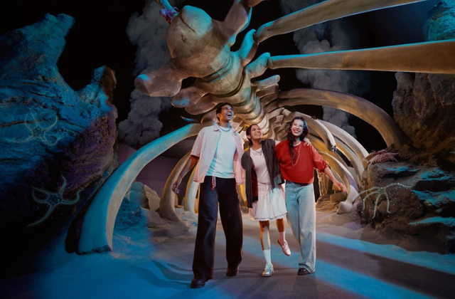 Universal Studios Singapore + Singapore Oceanarium Ticket