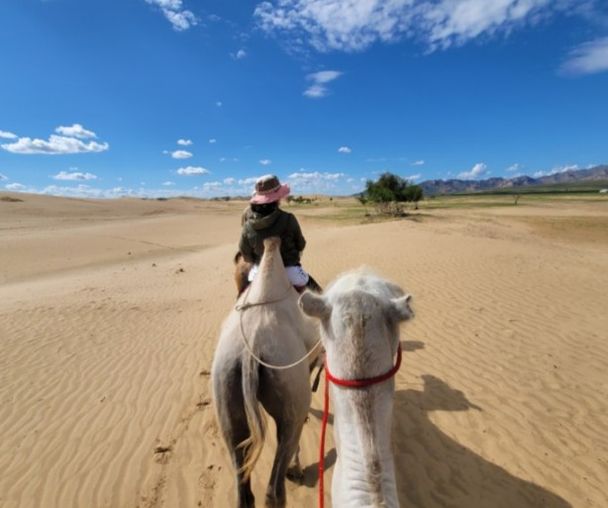 activity_detail_image