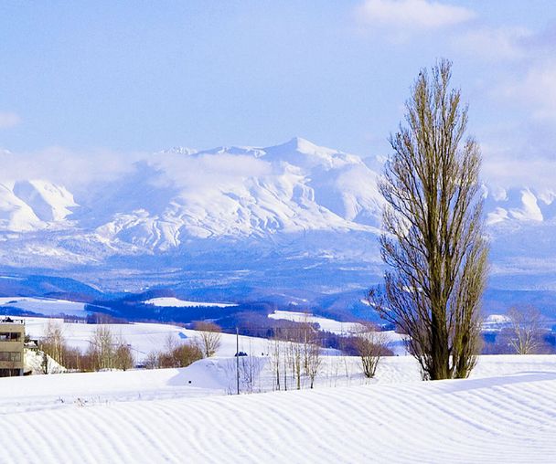 activity_detail_image