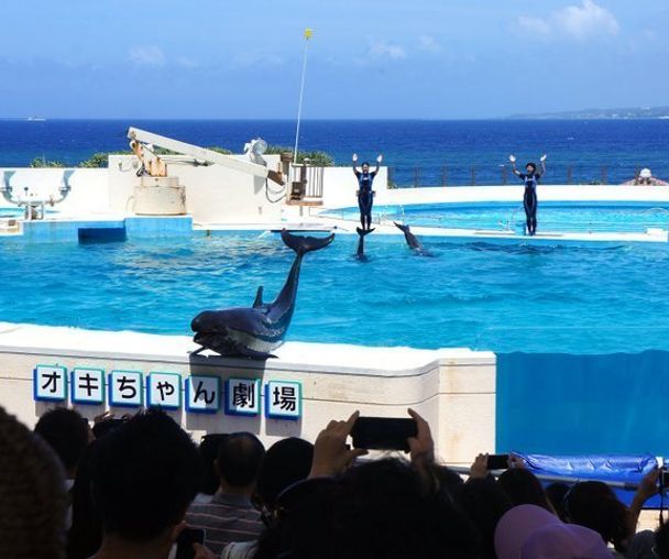 activity_detail_image