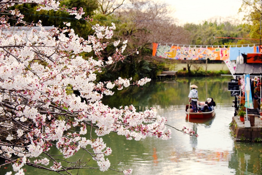 후쿠오카 출발:  다자이후 텐만구, 야나가와 뱃놀이 & 딸기농장 체험