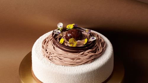 activity_detail_image