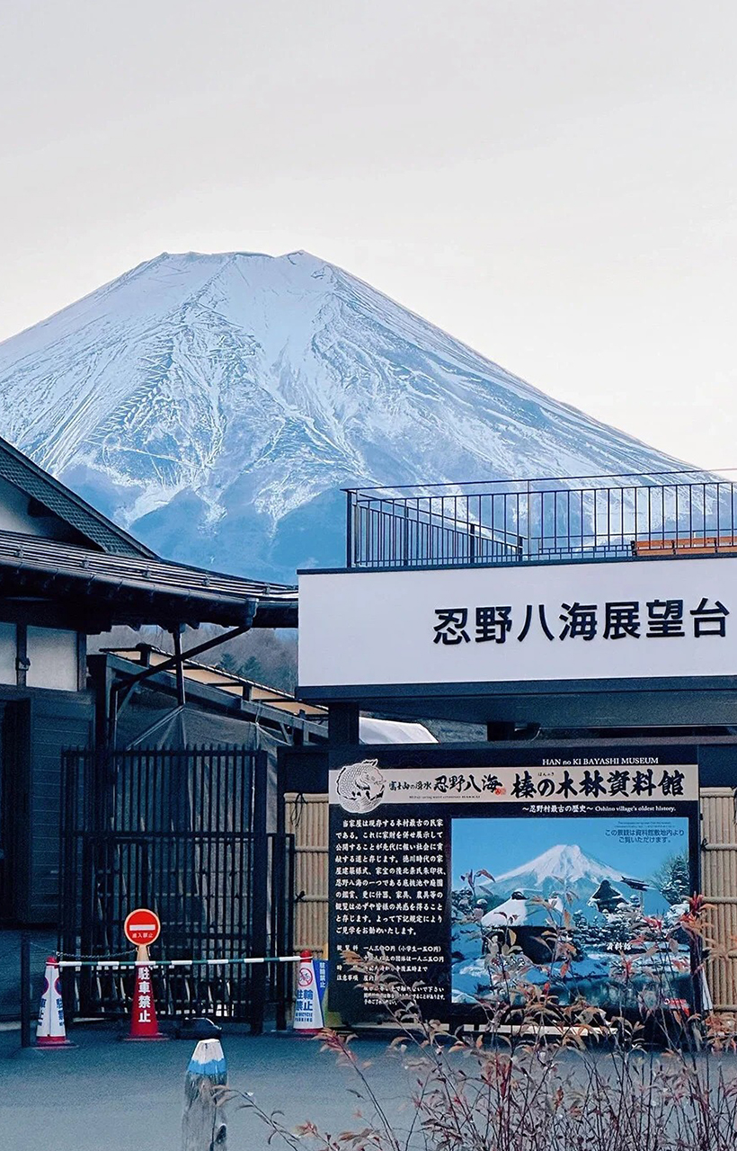 [독점할인] 도쿄 출발: 후지산 인생샷 명소 핫플레이스 일일 투어 - 신쿠라야마 + 오시노 + 가와구치코