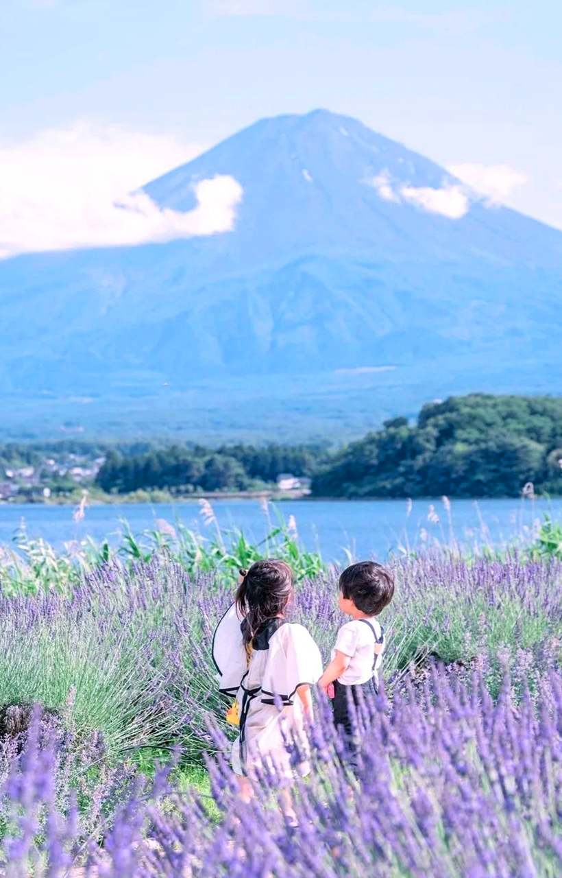 [독점할인] 도쿄 출발: 후지산 인생샷 명소 핫플레이스 일일 투어 - 신쿠라야마 + 오시노 + 가와구치코