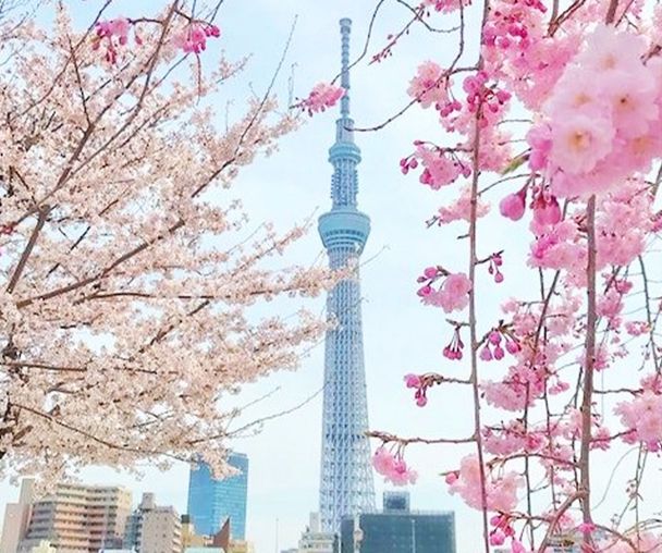 activity_detail_image