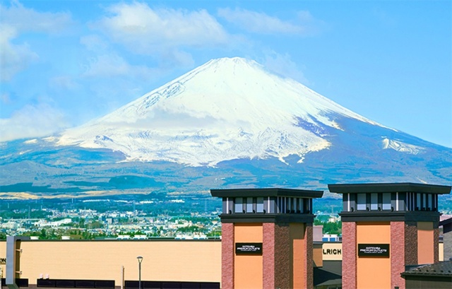 [독점할인] 도쿄 출발: 후지산 사계절 일일 투어 - 아라쿠라야마 센겐 공원, 오시노 하카이, 고텐바 아울렛, 후지산 온천