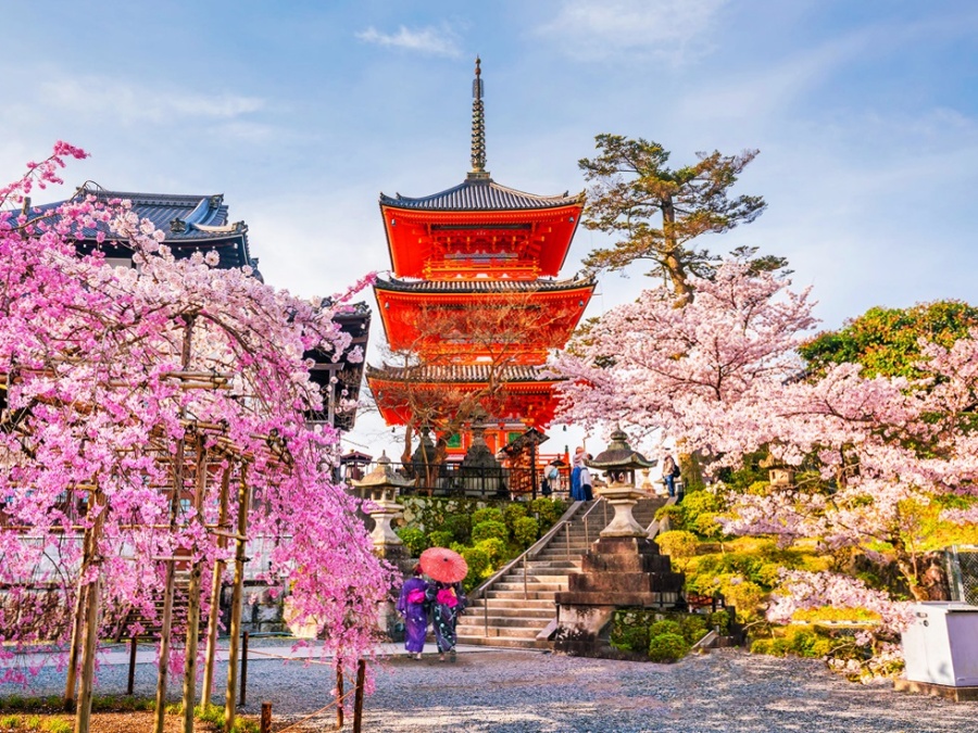 【独占割引】大阪発:京都&奈良 1日バスツアー - 清水寺、伏見稲荷大社、奈良公園