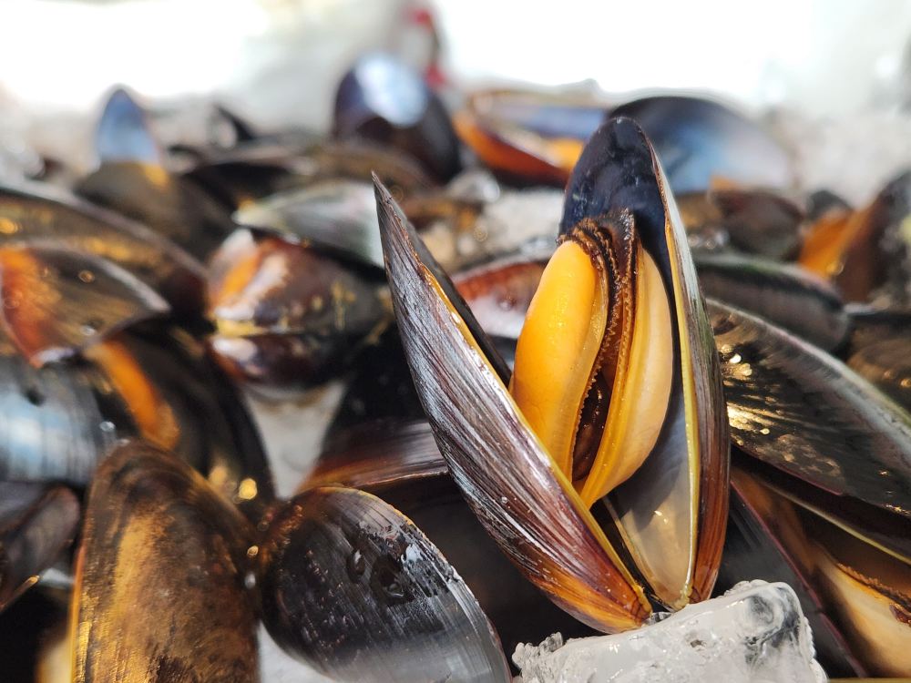 마카오 스카이 21 바 & 레스토랑 런치 뷔페