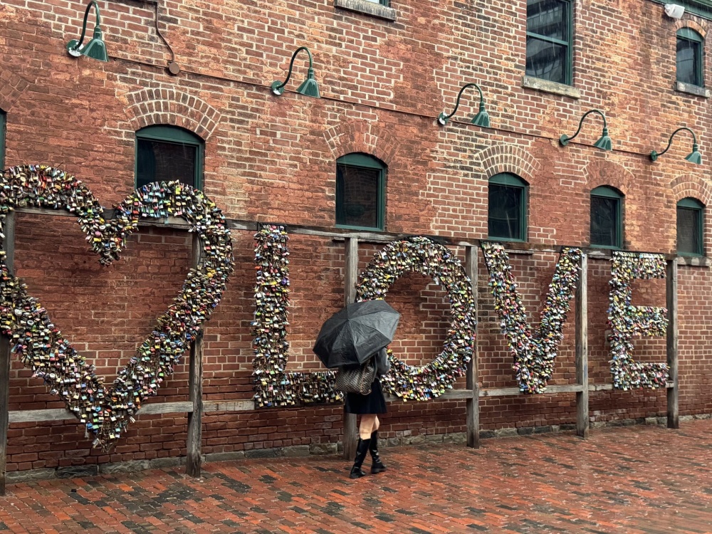 [TEAMON] 토론토 다운타운 + 유니온빌 감성 일일 투어