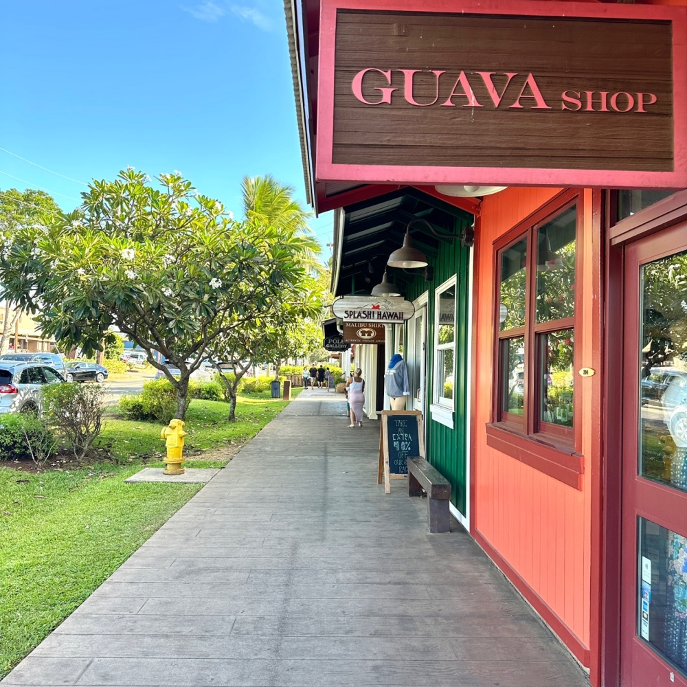 [독점할인] 오아후 북부해안 맛집 투어 + 와이켈레 아울렛 쇼핑 패키지 (호텔 or 공항 픽업)
