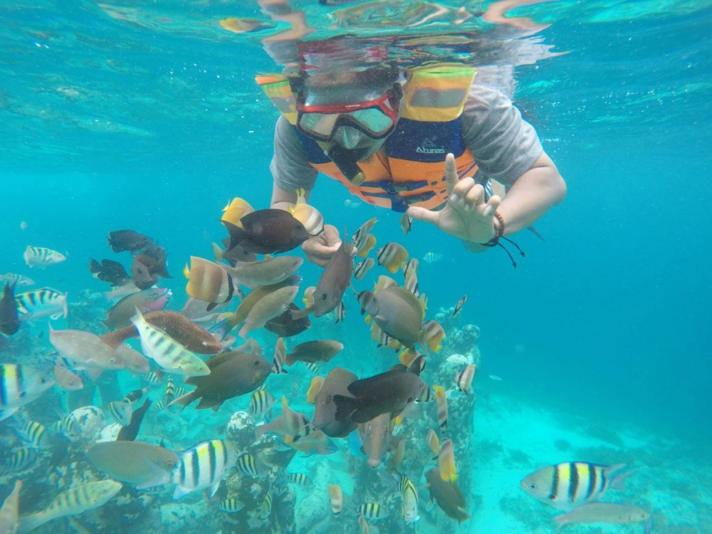 Manado Bunaken Private Snorkeling Tour