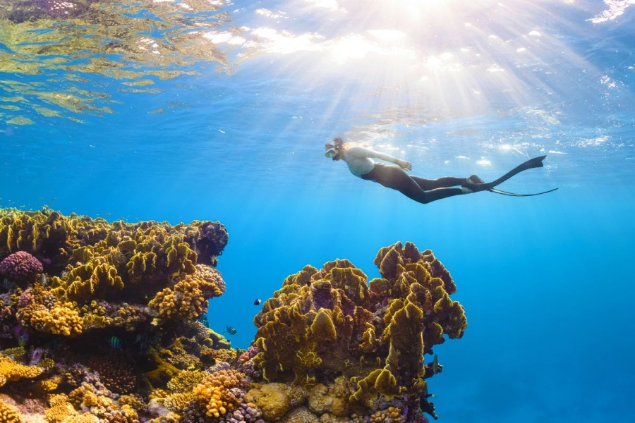 Manado Bunaken Private Snorkeling Tour