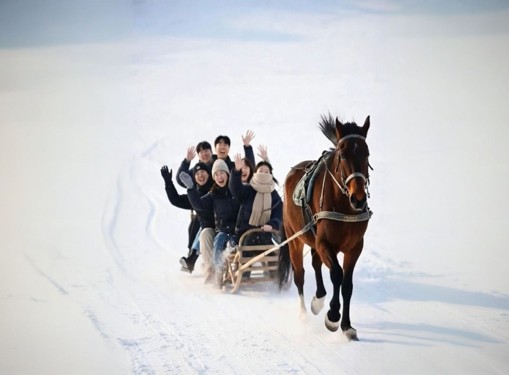 [밝은미래] [4박5일] 사막에서 수도까지, 겨울 몽골 중부 투어 (미니사막 - 쳉헤르온천 - 오기 호수 - 테를지)