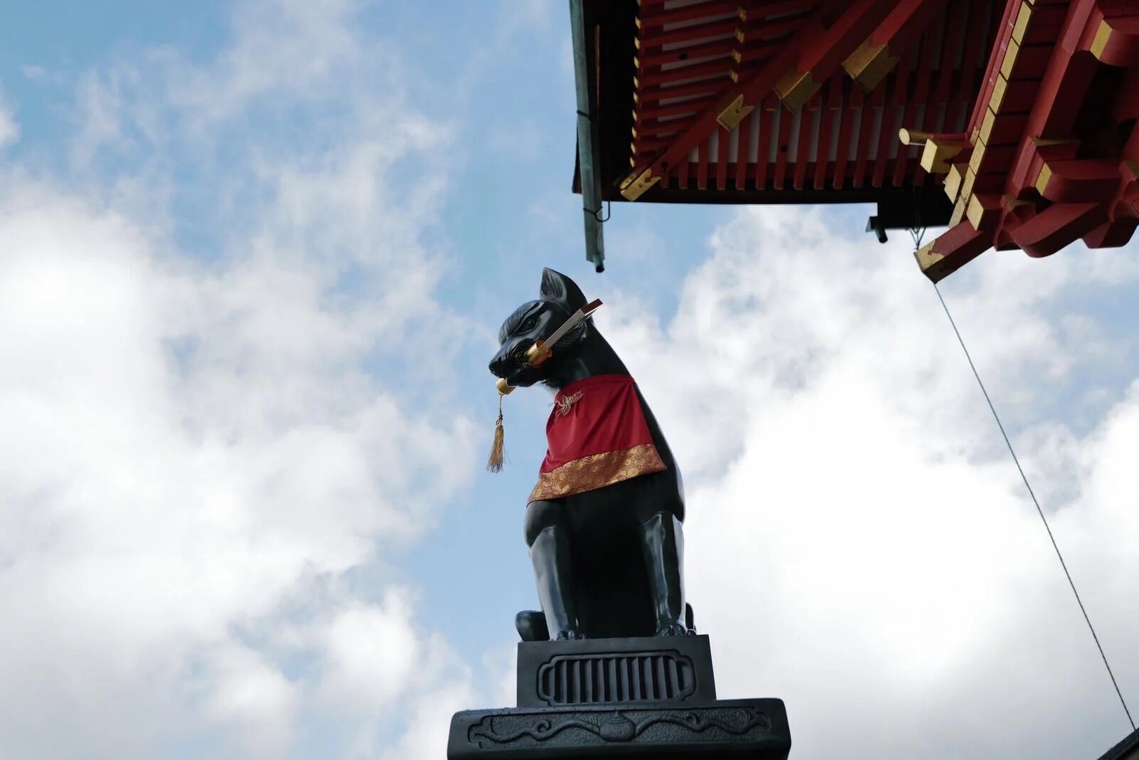 activity_detail_image