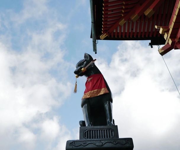 activity_detail_image