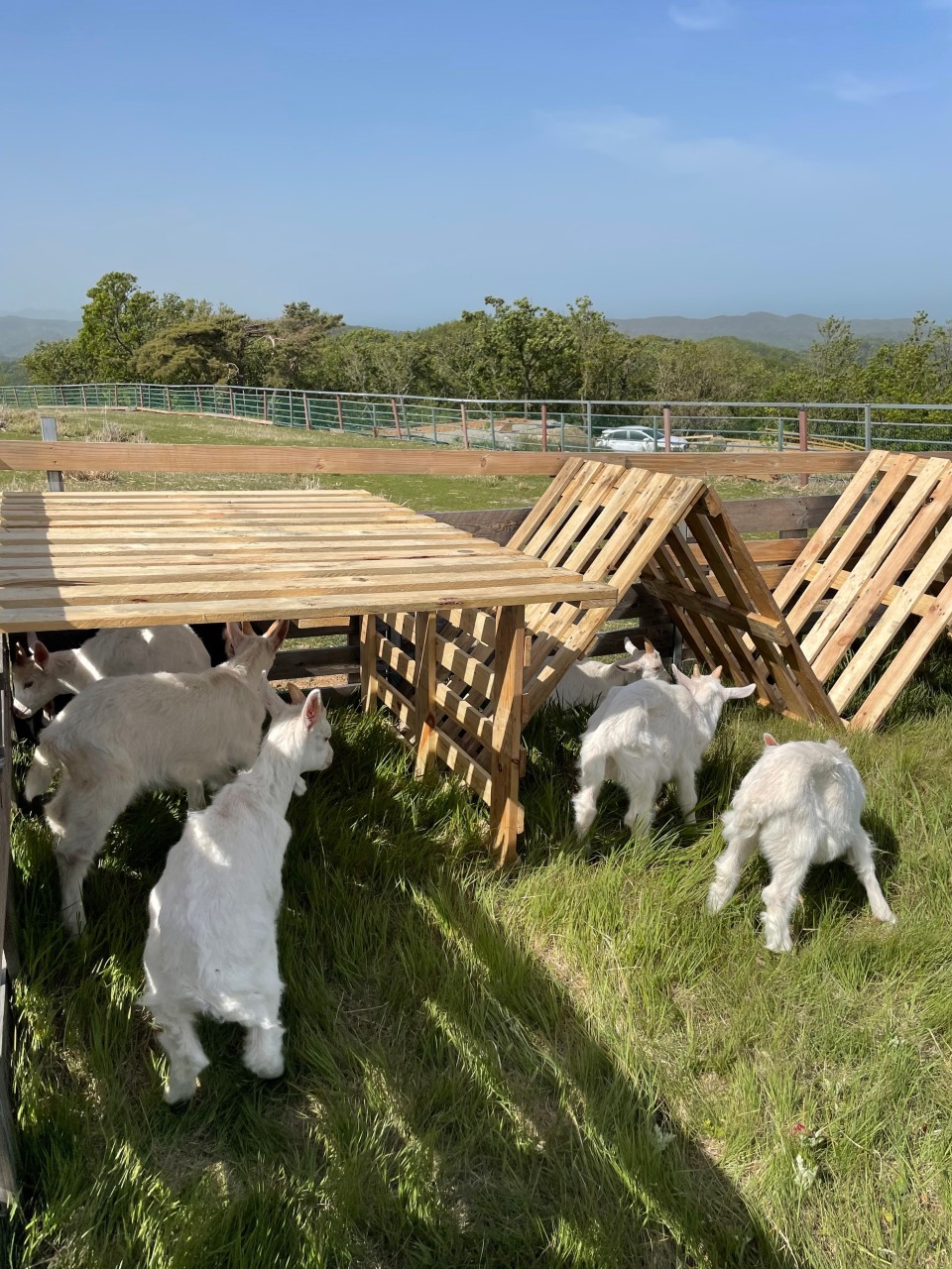 activity_detail_image