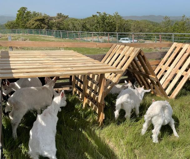 activity_detail_image