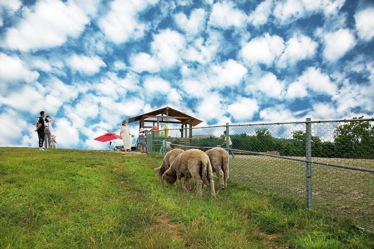 activity_detail_image