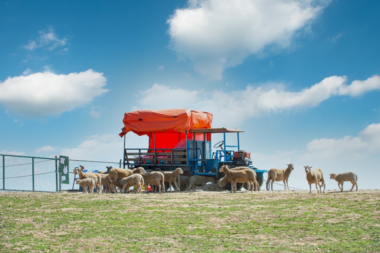 activity_detail_image