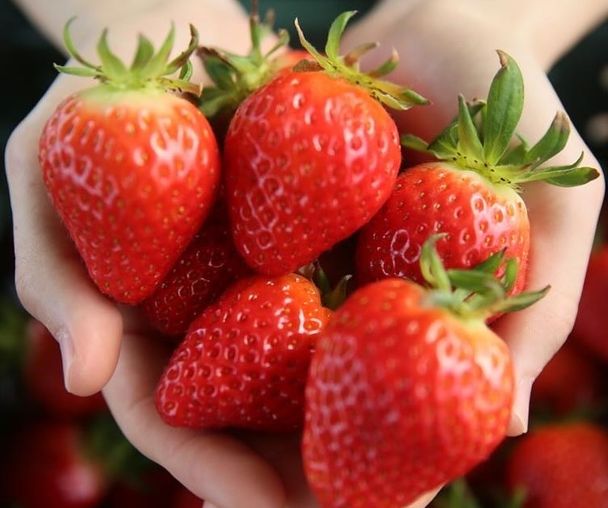 activity_detail_image