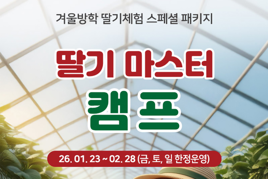 전북 고창 상하농원 딸기 마스터 캠프